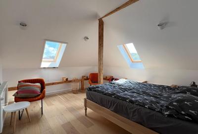 Casă individuală cu 10 camere cu Canalizare în Arefu - 28