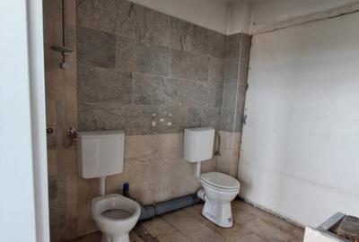 Spatiu comercial suprafete intre 130-87-217 mp zona Plevnei - 15