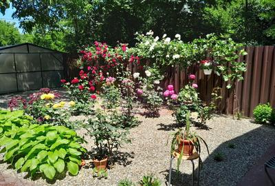 Movilita (IL) - de vanzare casa 5 cam p+1 - 15