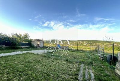 CASA DE VANZARE | INDIVIDUALA | TEREN DE 2500 MP | IRIS | ZONA LIVADA STELUTA - 11