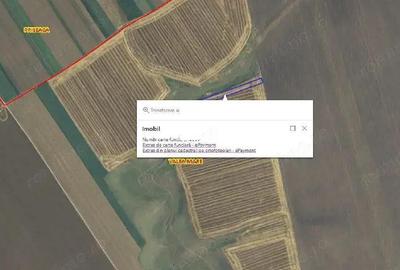 Cota de 1/24 din teren situat in Valea Mare, Jud Olt - 2