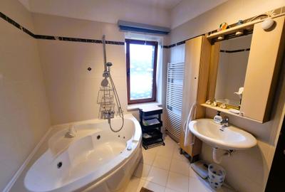 Casă cu 8 camere cu Canalizare în Iancu Nicolae - 18