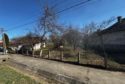 Casă individuală cu 3 camere cu Teren 8000 Mp în Someș-Odorhei - 3