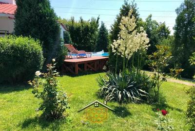 Casa P+1 cu garaj si 950 mp teren in Simnicul de jos - Comision 0% - 13