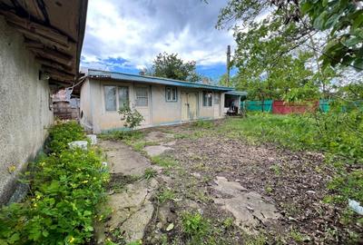 Casa + teren 4430 mp, vie si pomi fructiferi, 22 km de Tecuci - 7