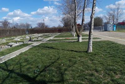 Vând Spațiu Agrobusiness - 4