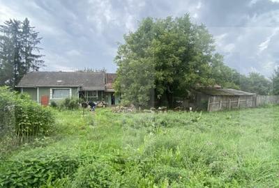 Casa traditionala cu teren generos – Belin - 10