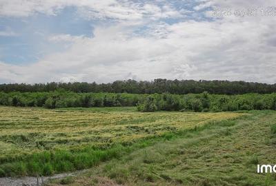 Loc de casa - Snagov - teren intravilan - 3