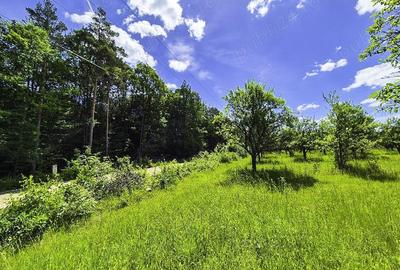 Teren intravilan Cotmeana Arges - 1