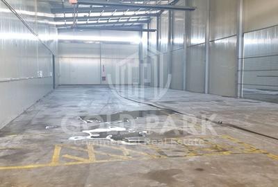 Spațiu industrial, de 700 mp, în Exterior Vest - 6