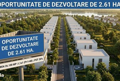 Teren de 26100 mp, în Dascălu - 1