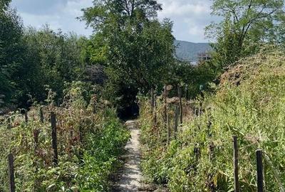 Casă cu 4 camere în Troian - 1