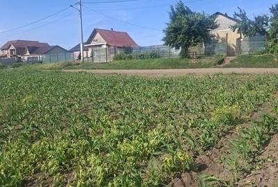 Teren de 6500 mp, în Popești - 3