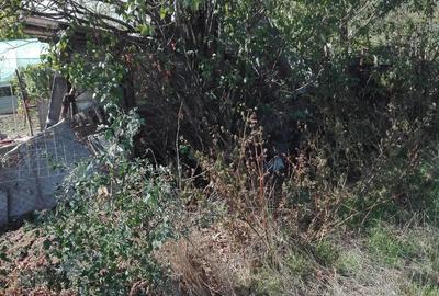 Teren de 2500 mp, în Băduleasa - 3