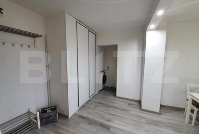 Apartament cu 2 camere decomandat în Lăpuș Argeș - 12
