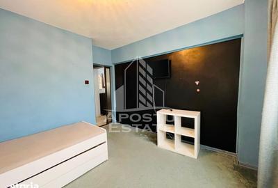 Apartament cu 2 camere în Șega - 7