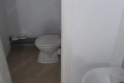 Inchiriez spatiu comercial zona ared-uri kaufland banu maracine - 5