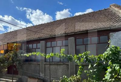 Casă cu 5 camere cu Teren 1909 Mp în Șag