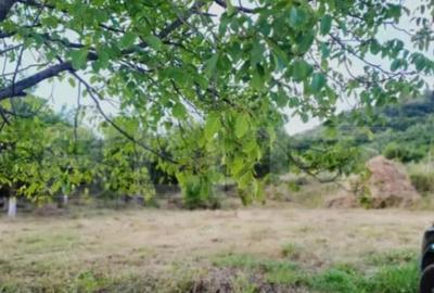 Teren intravilan de 15 ari Valea Jelnei, str. Campului - 4