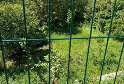 Casă cu 4 camere în Manolache - 3