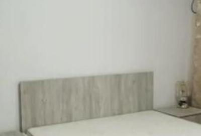 Bagadiru Cartier Independentei, 2 cam, 60 mp, renovat total - 3