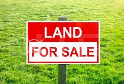 Teren investitie, 4750 mp, Valea Ursului - 2