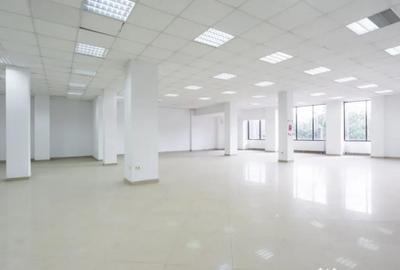Spațiu comercial, de 250 mp, în Ferdinand - 12
