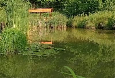De vanzare Casuta din lemn pirogravata si unicata in lume - 2
