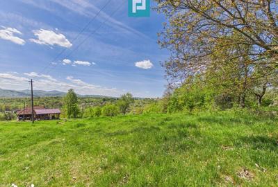 Casă cu 2 camere cu Teren 24270 Mp în Central - 12