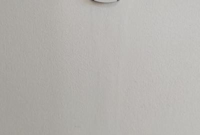 Casa superba parter in Isalni?a-Construc?ie premium-Fin - 9