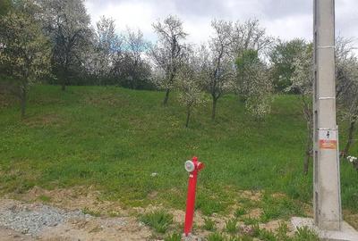Teren de 1600 mp, în Groși - 1