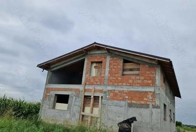 Casa, teren 2ha, curent trifazat , fantana - 2