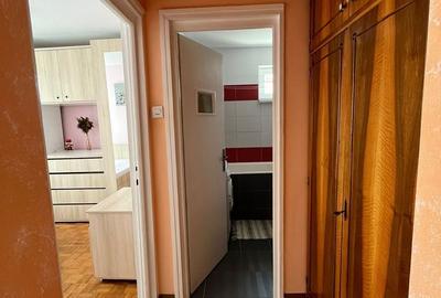 Apartament cu 3 camere semidecomandat în Gruia - 10