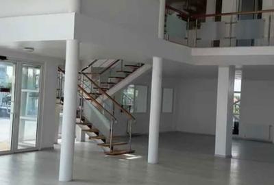 Spațiu comercial, de 910 mp, în Afumați - 2