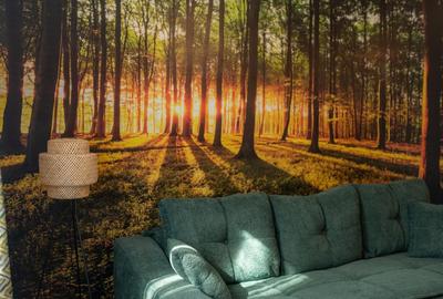 Apartament cu 2 camere în 1 Decembrie 1918 - 48