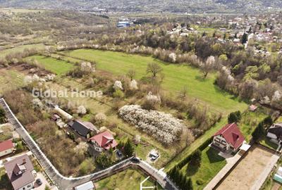 Teren de 23345 mp, în Cornu - 3