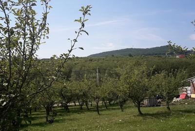 85 ari teren extravilan, intre case, la limita intravilanului Zona Valea Rusului - 6