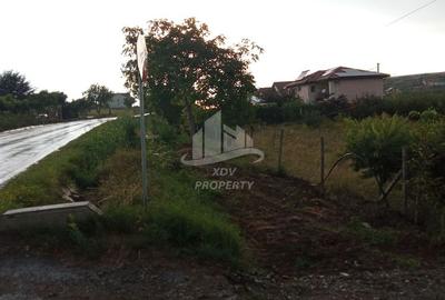 Teren intravilan  ,1020 mp, Sibiu, Daia Noua - 4