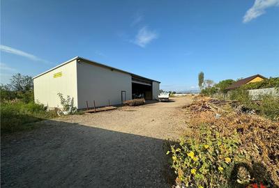 Spațiu comercial, de 275 mp, în Garoafa