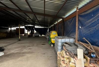 Teren Construcții intravilan de 6500 mp, în Frata - 6