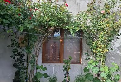 Casă cu 2 camere cu Teren 600 Mp în Golești (Ștefănești) - 2