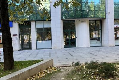 Piata Alba iIulia - 13