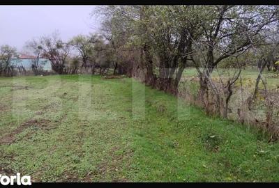 Teren de 3000 mp, în Conțești - 2