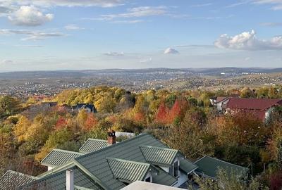 *PENTHOUSE cu vedere panoramica* (complet mobilat/utilat) - Bucium - 7