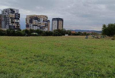 Teren intravilan 8000 mp , DR.D.Vechi - 9