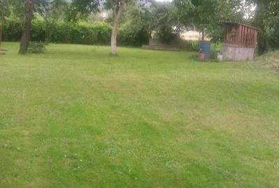 Casă cu 3 camere cu Teren 3222 Mp în Bretea Mureșană - 2