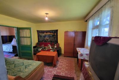 Casa cu teren generos in zona ARCADIA - 2