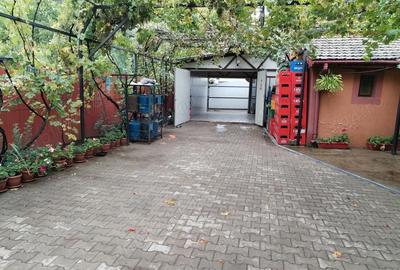 Spațiu comercial, de 200 mp, în Burila Mică - 2