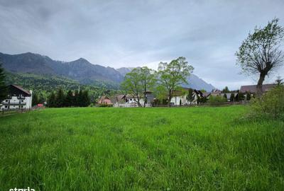 Teren de 2675 mp, în Poiana Țapului - 5