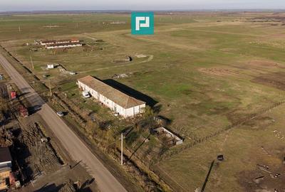 Hală industrială cu teren generos în Zărand, Arad - 59